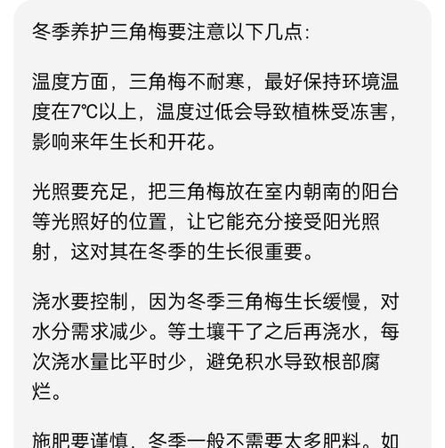 三角梅怎么过冬？三角梅冬季养护的秘诀是什么？