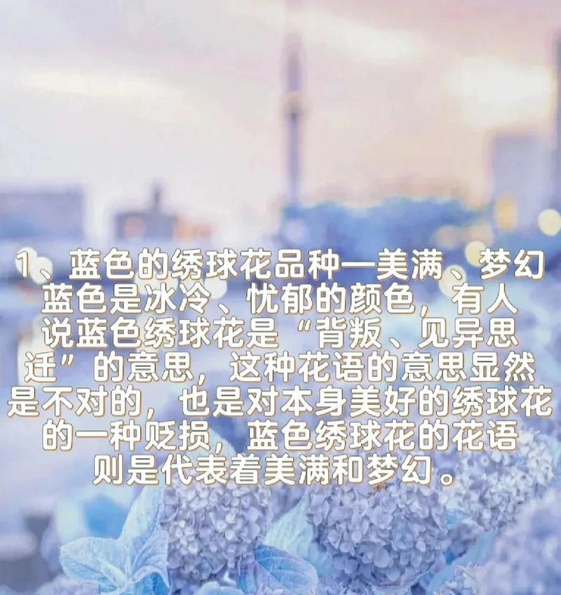 樱花绣球的寓意及其花语是什么？