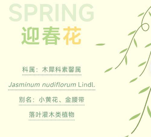 迎春花换盆的最佳时间是什么时候？