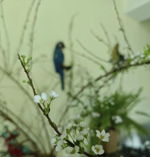 雪柳加郁金香花语是什么？这组合花语有何特别之处？