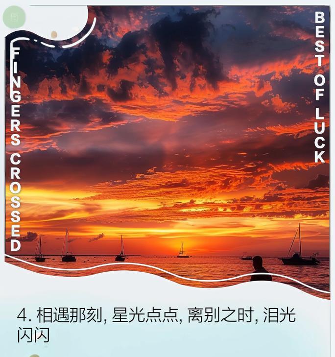 哪种花语既代表离别也代表相遇？花语中离别与相遇的象征是什么？