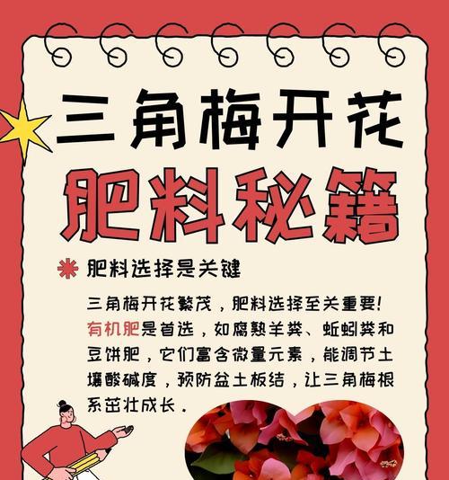 三叶梅开花时间是什么时候？如何促进开花？