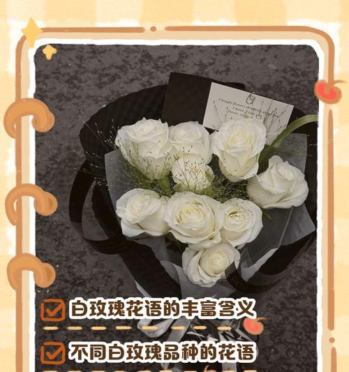 手边玫瑰花的花语有何深意？