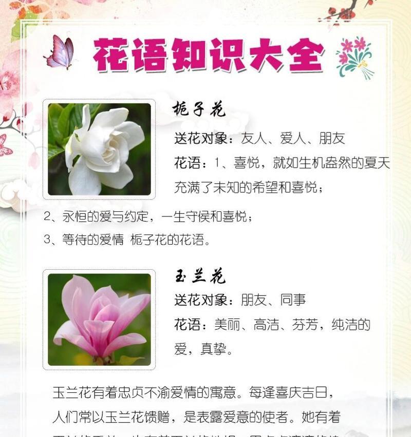 栀子花庸俗花语是什么？栀子花的花语有哪些？