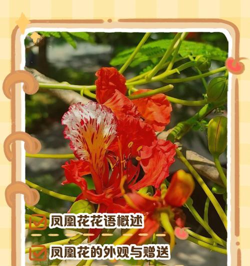 送别的花语通常由哪种花来表达？