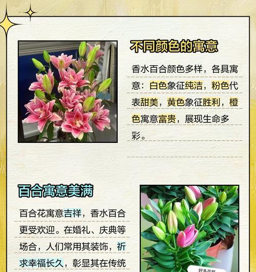 哪种花的花语表达了长久？
