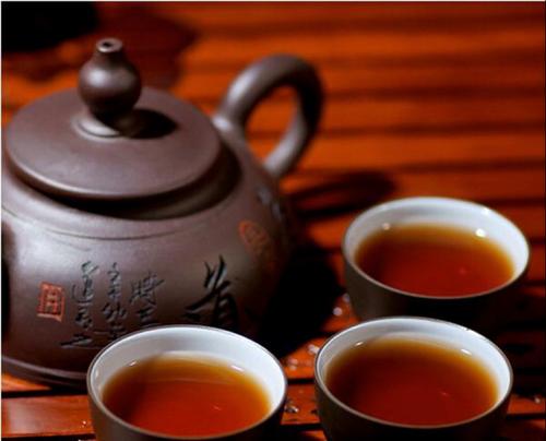 普洱茶花的花语有何深意？它代表了什么？
