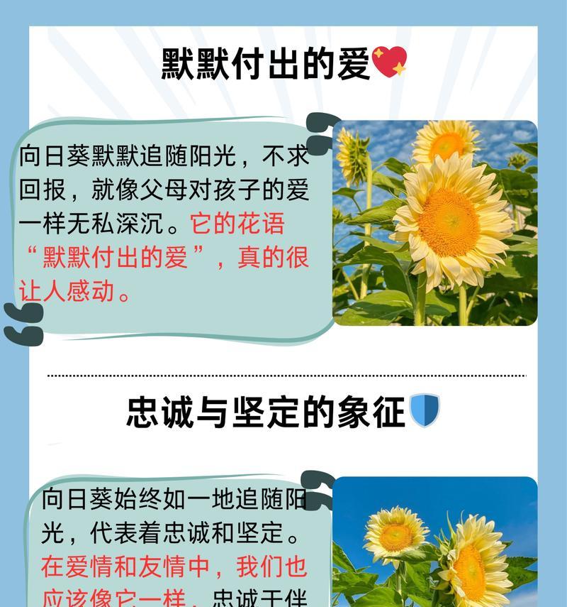向日葵的花语对小袁有何意义？