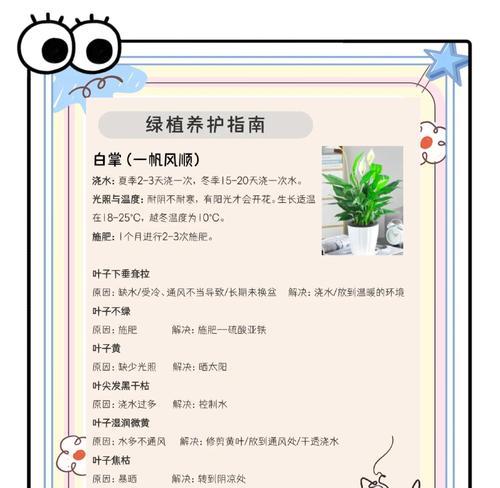 盆栽花卉的养护技巧有哪些？