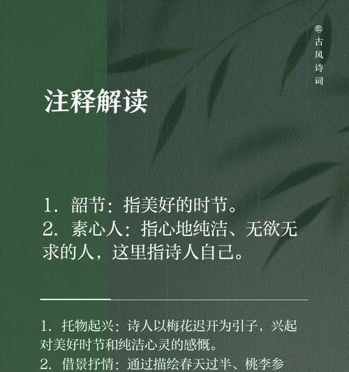 二月梅的花语和寓意有何特别之处？二月梅代表了什么？
