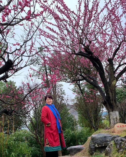 二月梅的花语和寓意有何特别之处？二月梅代表了什么？