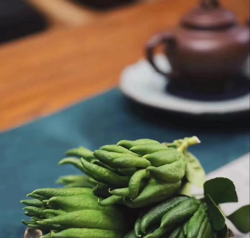 香橼的花语和寓意有哪些？如何挑选？