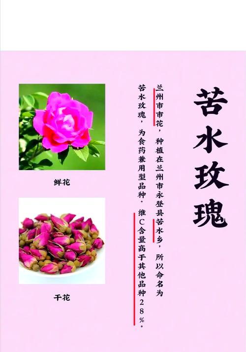 八朵红色玫瑰的寓意和花语是什么？