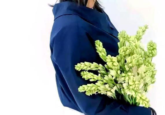 象征服装的花语和寓意有何深意？