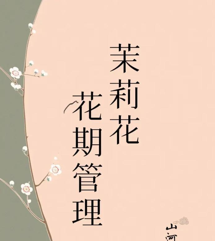 茉莉花剪枝的最佳时机是什么时候？