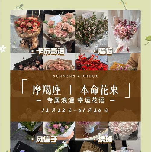 女艺人通常与哪种花的花语相联系？