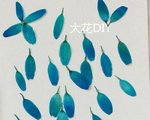 干花标本的制作方法是什么？制作干花标本需要注意什么？