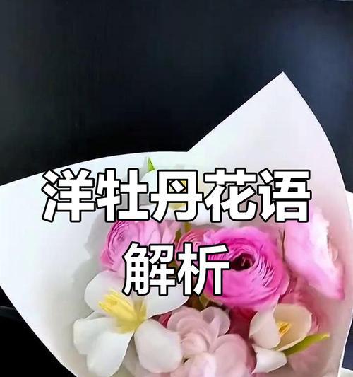 幸福花语具体代表什么？