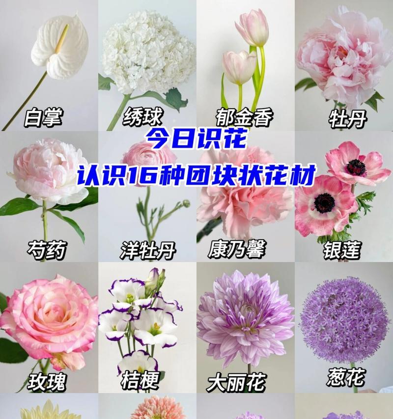 线状花材包括哪些种类？如何搭配使用？