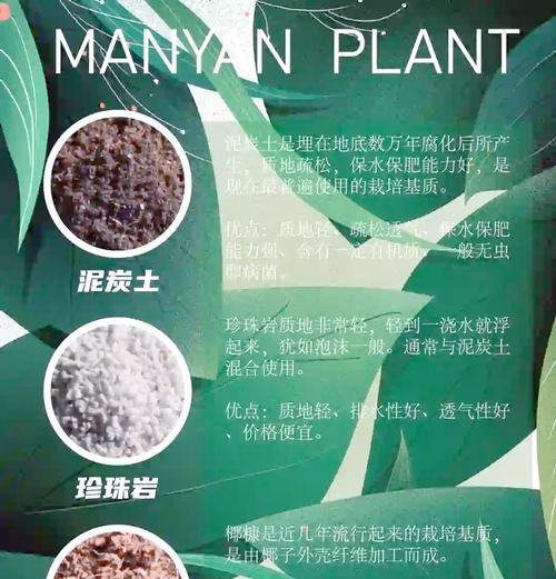 养花时选择哪种土壤最为合适？不同花卉对土壤有何不同要求？