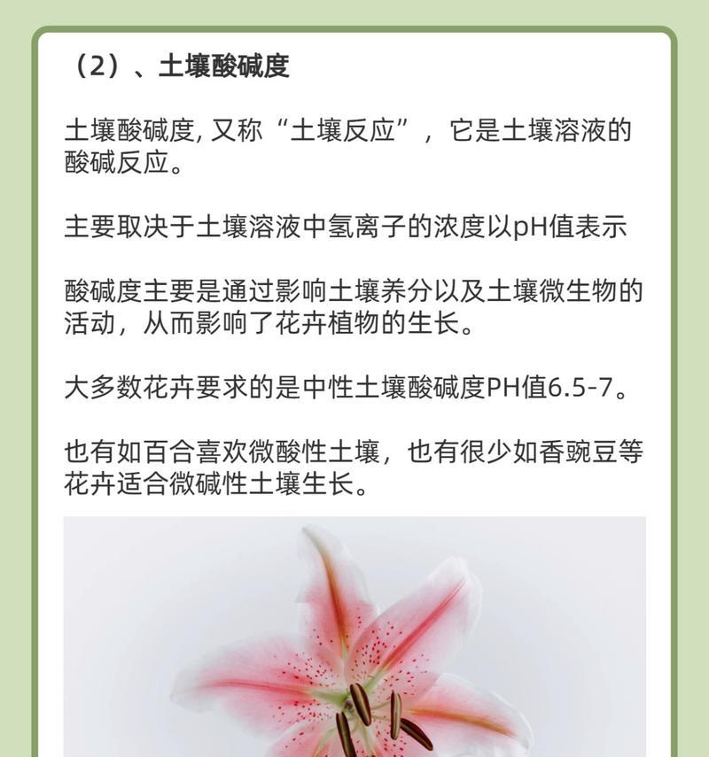 养花时选择哪种土壤最为合适？不同花卉对土壤有何不同要求？
