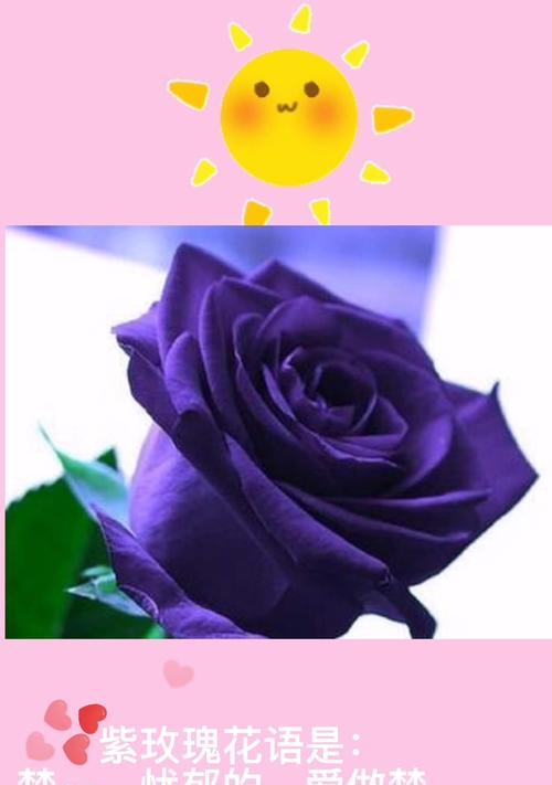 送过玫瑰花再送什么花比较好？双花蕊玫瑰有什么寓意和花语呢？