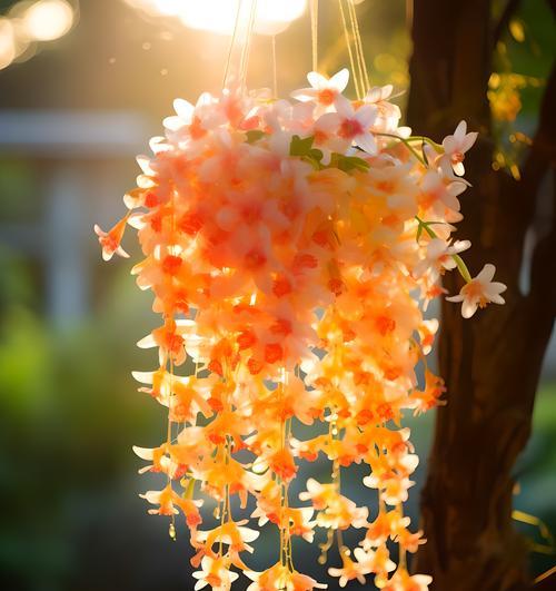 简单顽强的花语象征哪种花？花语有何深意？