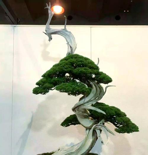 盆景造型的基本技巧有哪些？怎样才能塑造完美形态？