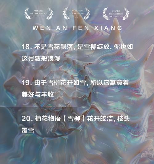 雪柳与飞燕搭配的花语是什么？它们共同的寓意是什么？