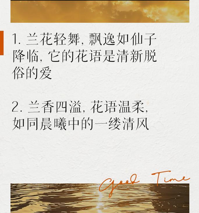 兰花的花语有哪些深刻的象征意义？