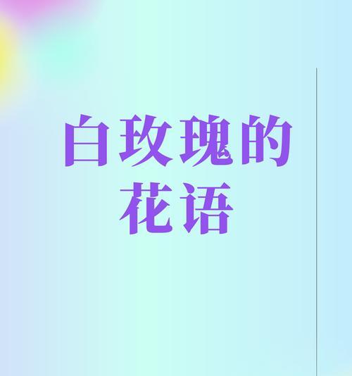 红白色玫瑰花组合的花语是什么？它表达了哪种情感？