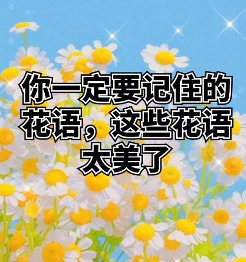 6枝茉莉花花语是什么意思？军中姐妹花语指的是哪种花？