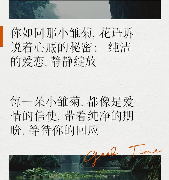 小雏菊的花语有哪些变化？新含义代表什么？