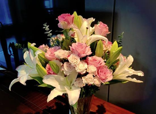 马尔她蓝百合花语有何特别之处？