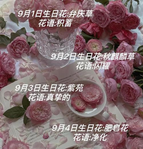 生日花语中有哪些奇怪的含义？它们代表了什么？