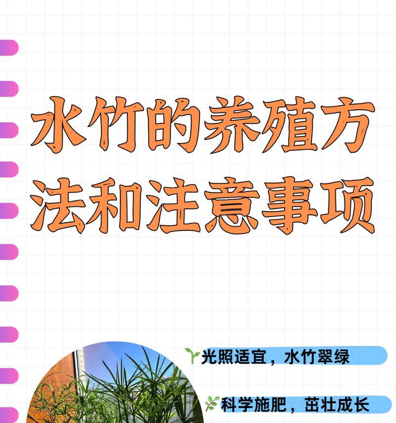 竹子施肥的正确方法是什么？