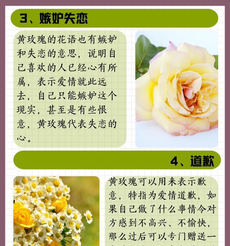 扑克牌玫瑰花的寓意是什么？它象征着什么？