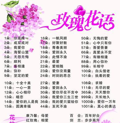 不同品种红玫瑰的花语有何区别？