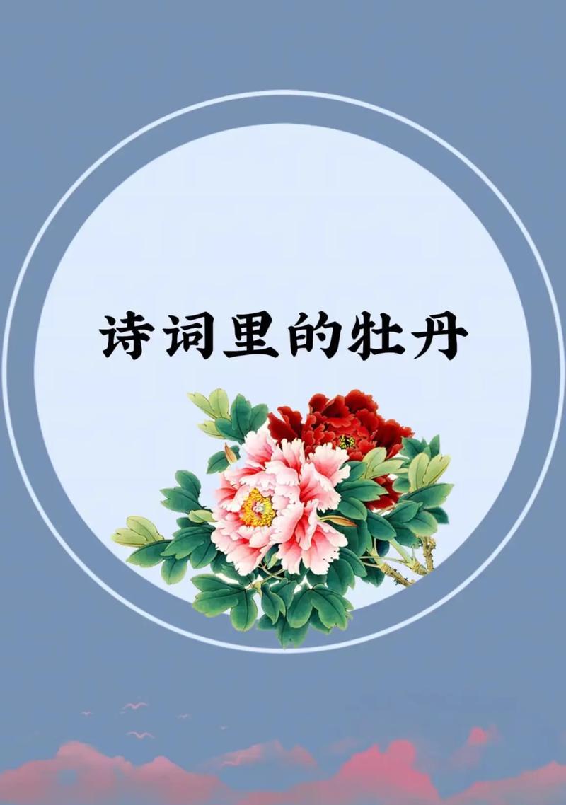 仙气牡丹的花语有何寓意？如何用在特殊场合？
