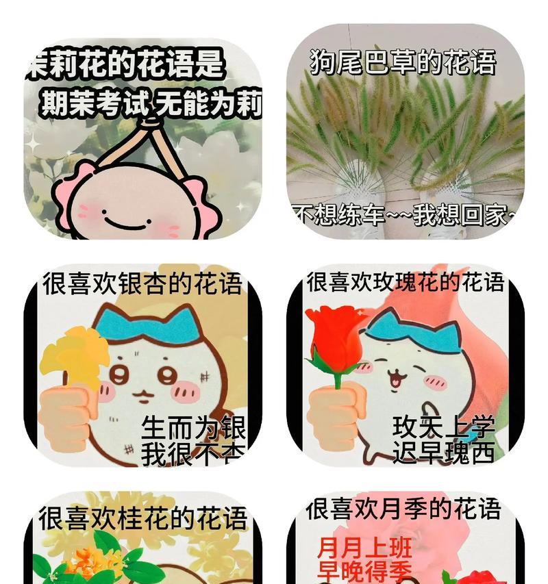 你希望听到什么样的花语？