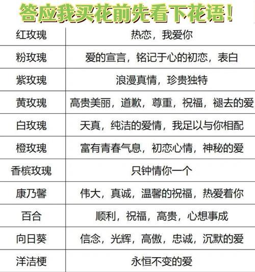 夫妻甜蜜的花语是什么呢？哪种花能最好地表达这种情感？