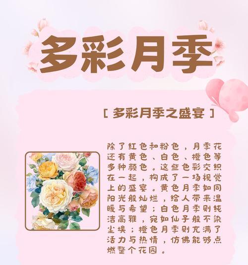 月季花的花语有哪些？送月季花代表什么意义？