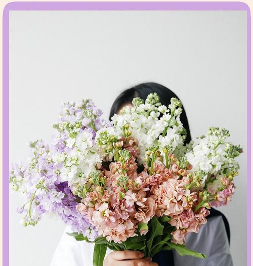紫罗兰的花语和象征含义是什么？紫罗兰代表什么？