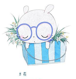 八月兔花语有何特别之处？它象征着什么？