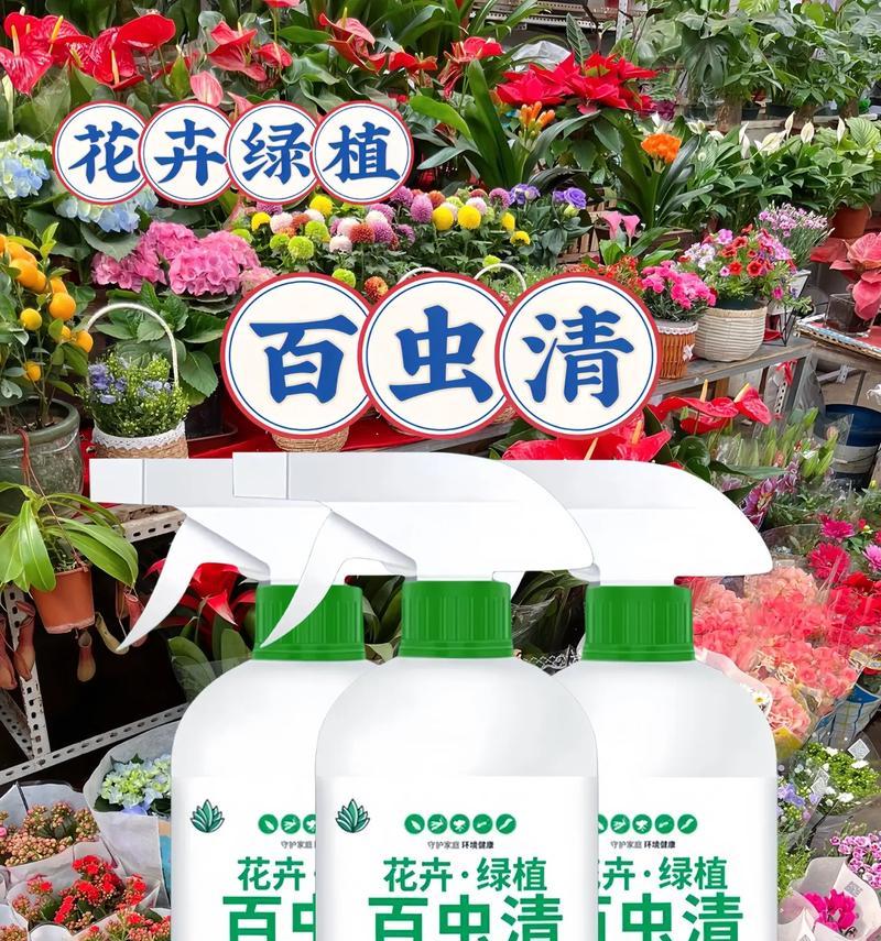 花草生虫的处理方法和预防措施是什么？