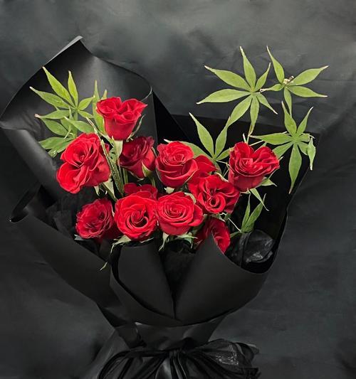 黑色粉红色玫瑰花代表什么？这种花语有何寓意？