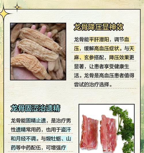 龙骨多肉的花语和寓意是什么？它在植物中代表了什么？