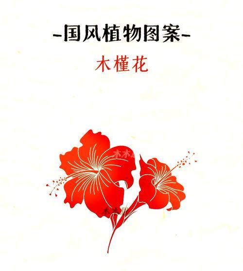 木槿花如何繁殖？木槿花的繁殖方法有哪些？