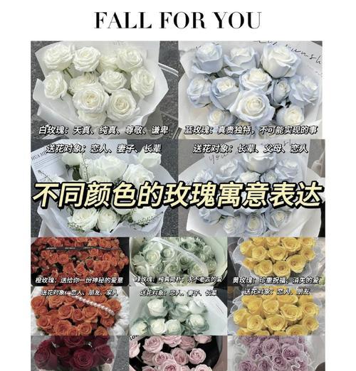 什么颜色的玫瑰花代表什么啊？不同颜色玫瑰的花语有何不同？