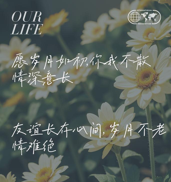 代表友谊的花语有哪些？